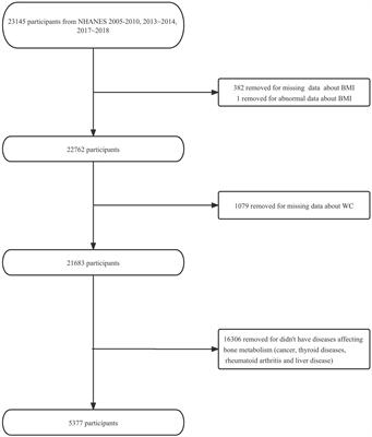 Association of obesity with osteoporotic fracture risk in individuals with bone metabolism-related conditions: a cross sectional analysis